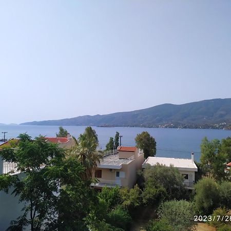 فيلا Rigos House At Askeli Beach, Poros Island Poros Town المظهر الخارجي الصورة