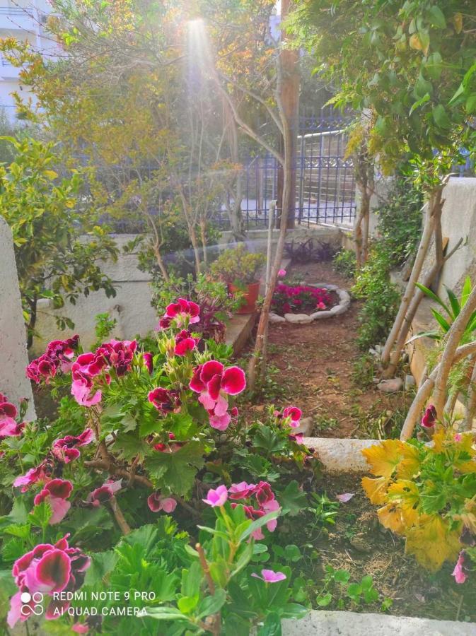 فيلا Rigos House At Askeli Beach, Poros Island Poros Town المظهر الخارجي الصورة