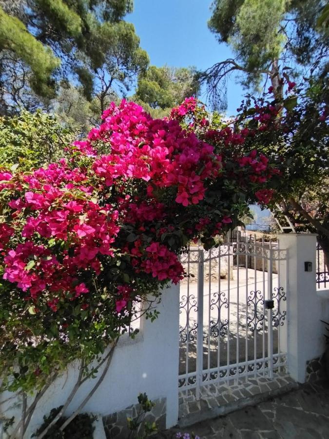 Poros Town Rigos House At Askeli Beach, Poros Island المظهر الخارجي الصورة